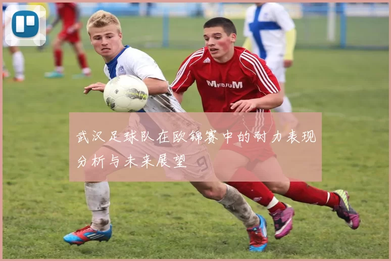 武汉足球队在欧锦赛中的耐力表现分析与未来展望